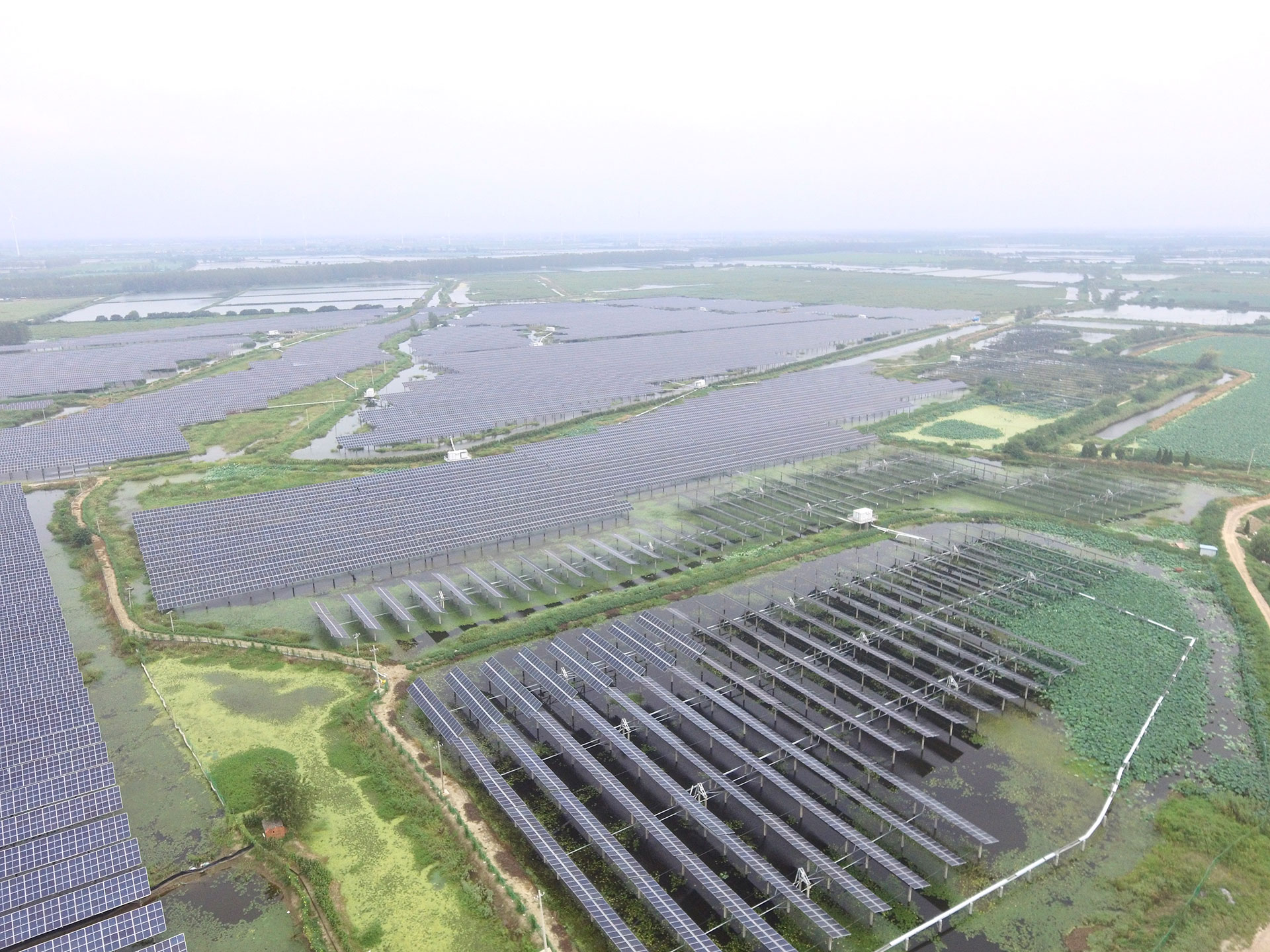 pa电子江苏扬州宝应光伏发电应用领跑基地2号100兆瓦项目