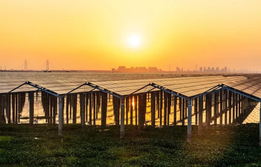 Beyond Success - www@pa.com Achieved a Preferred Scale of 1120 MW in Jiangxi